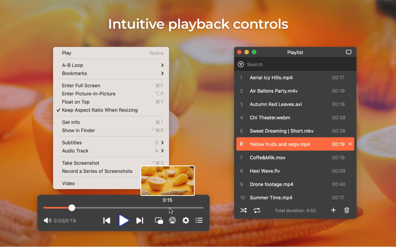 Intuitive playback controls