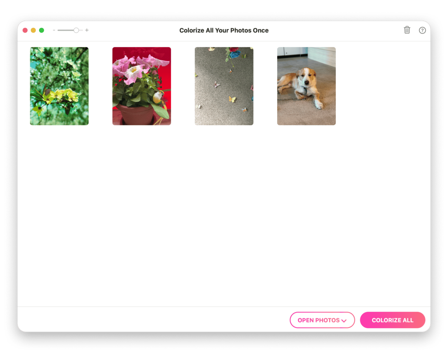 PhotosRevive colorizing a black-and-white family portrait using AI, available on Setapp