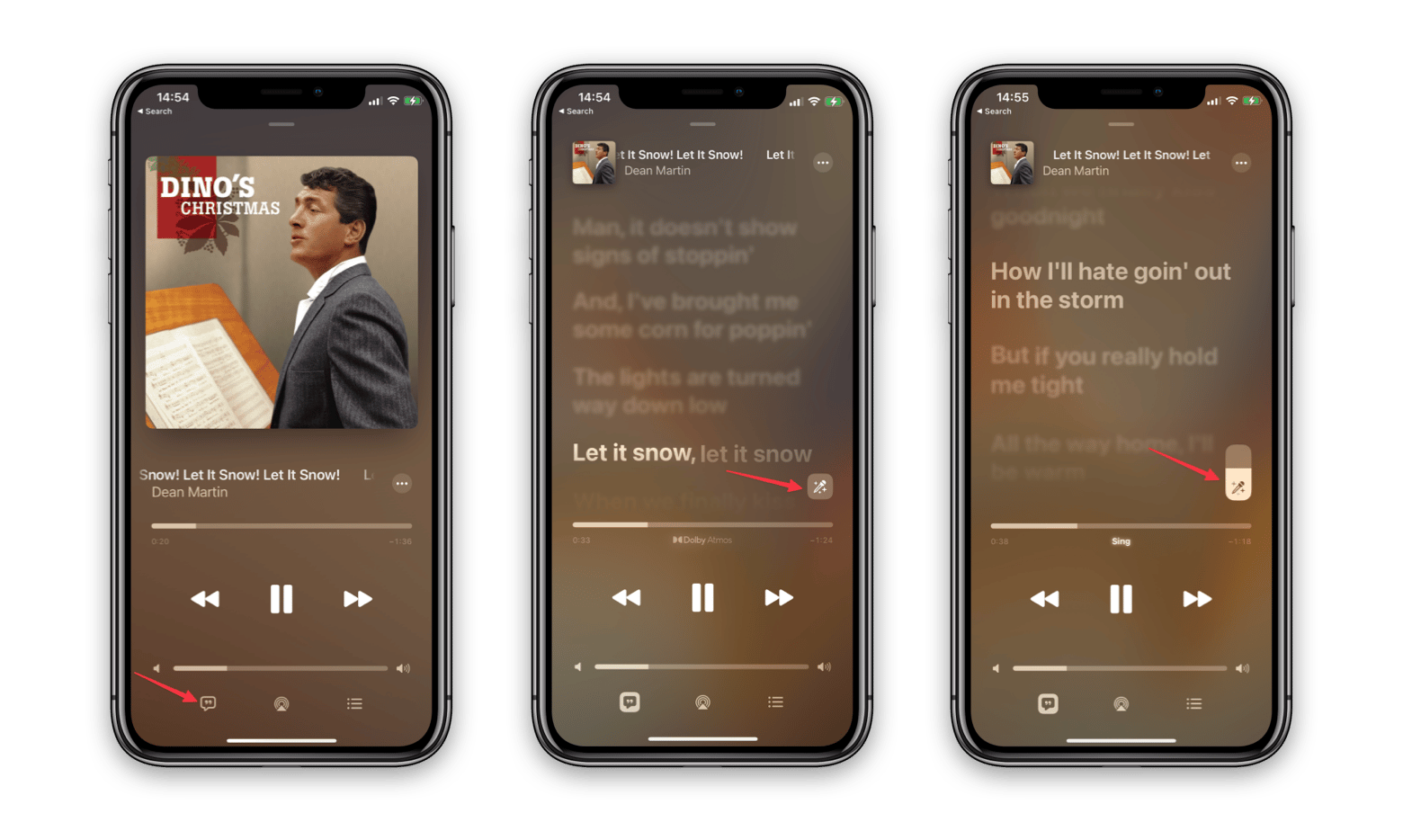 Activate Apple Music Sing on iPhone