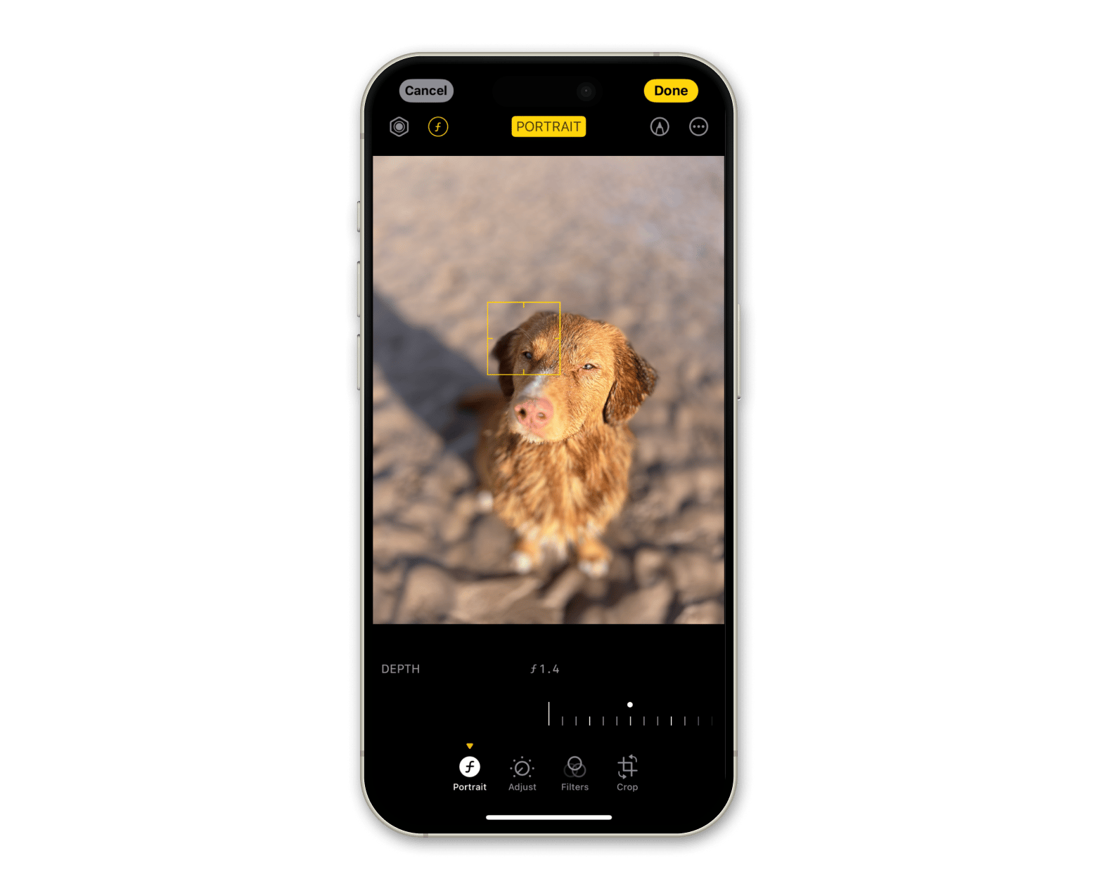 blur a background in Photos app