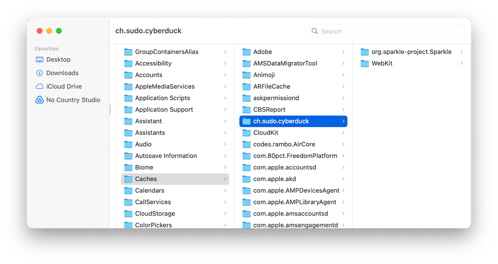 delete caches manually