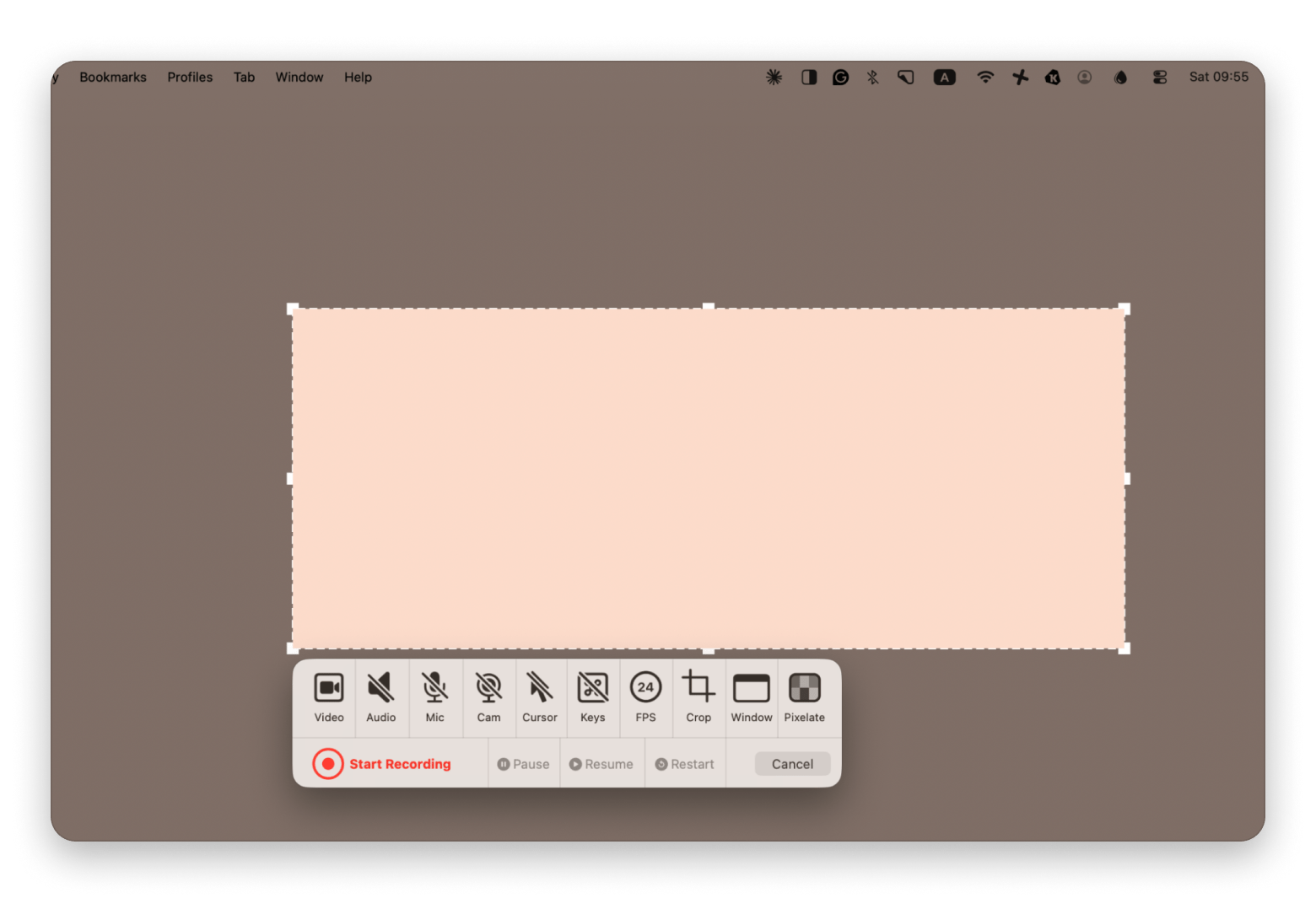 Screen record in Dropshare, a file-sharing app available on Setapp