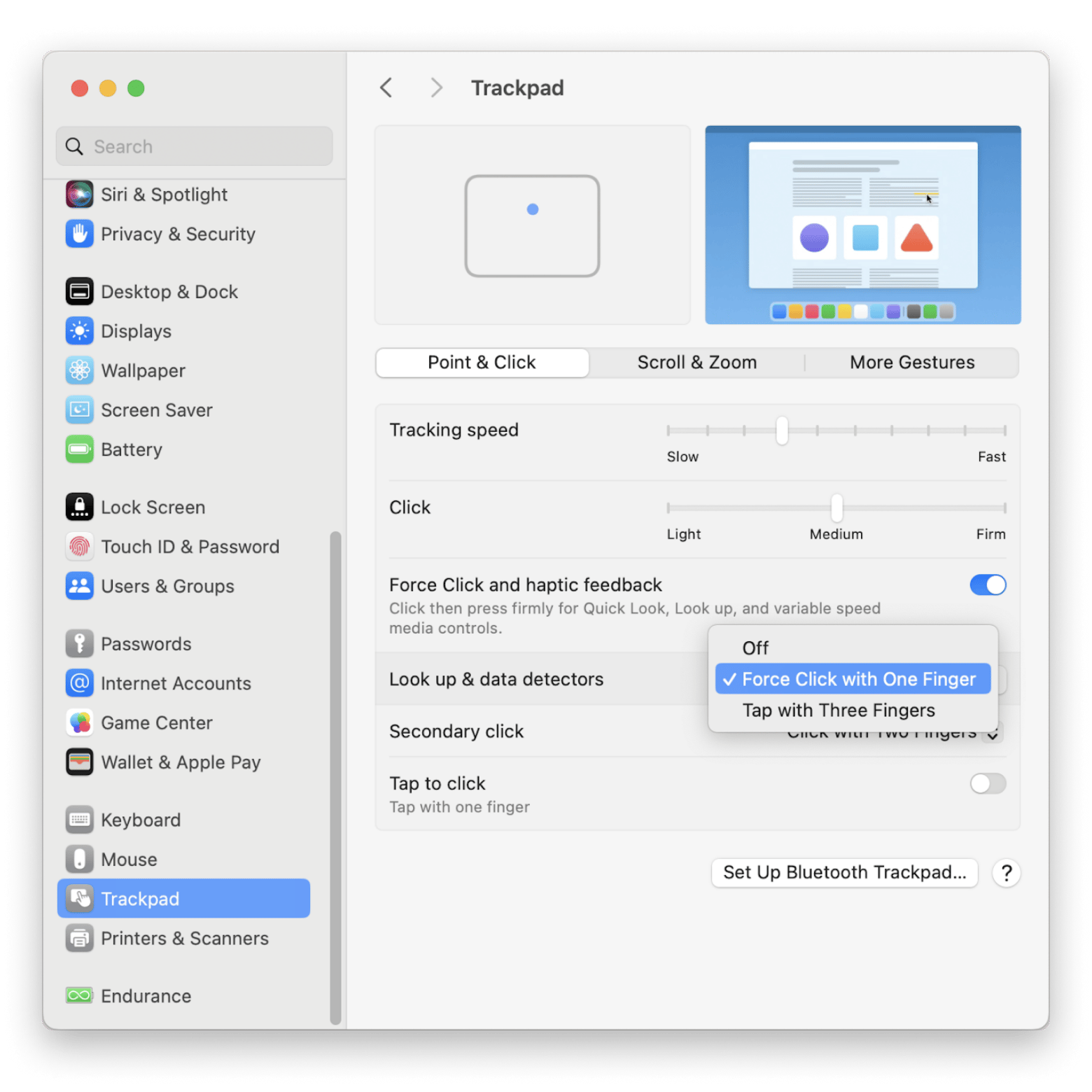 enable look up feature mac