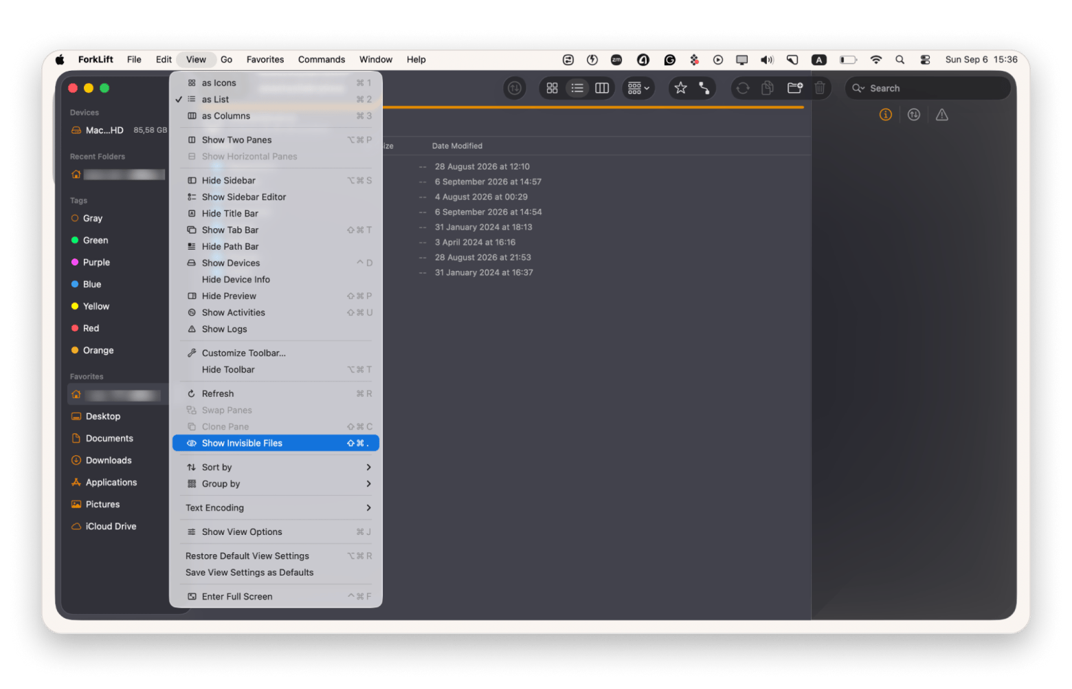 The file manager interface of Forklift, a Finder alternative available on Setapp