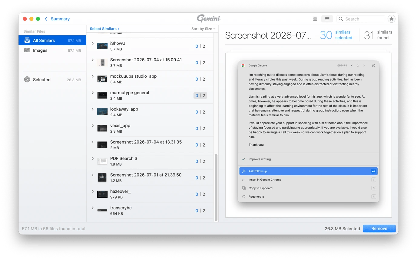 Similar images interface on Gemini, an organization tool available on Setapp