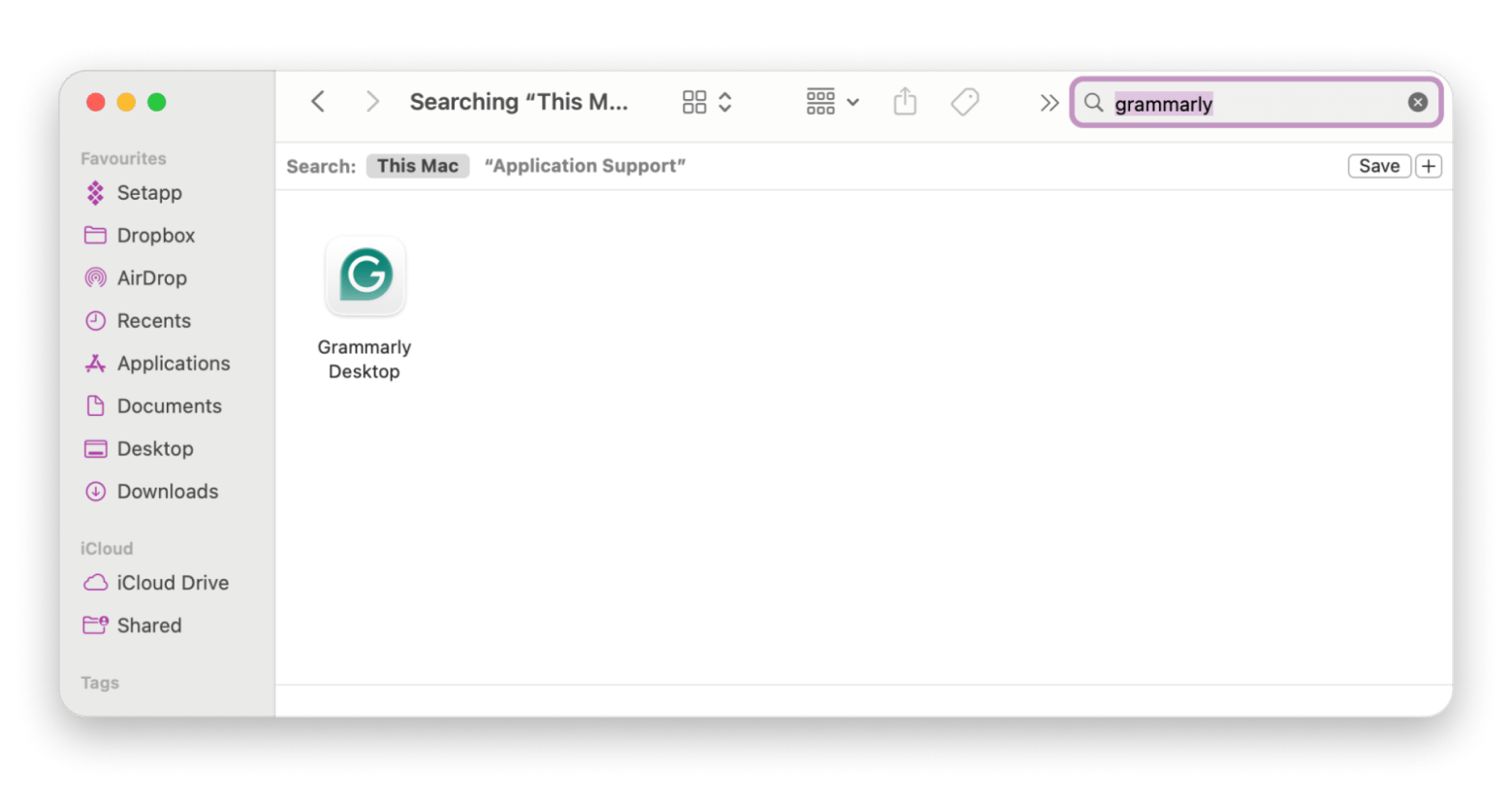 Grammarly library cache files
