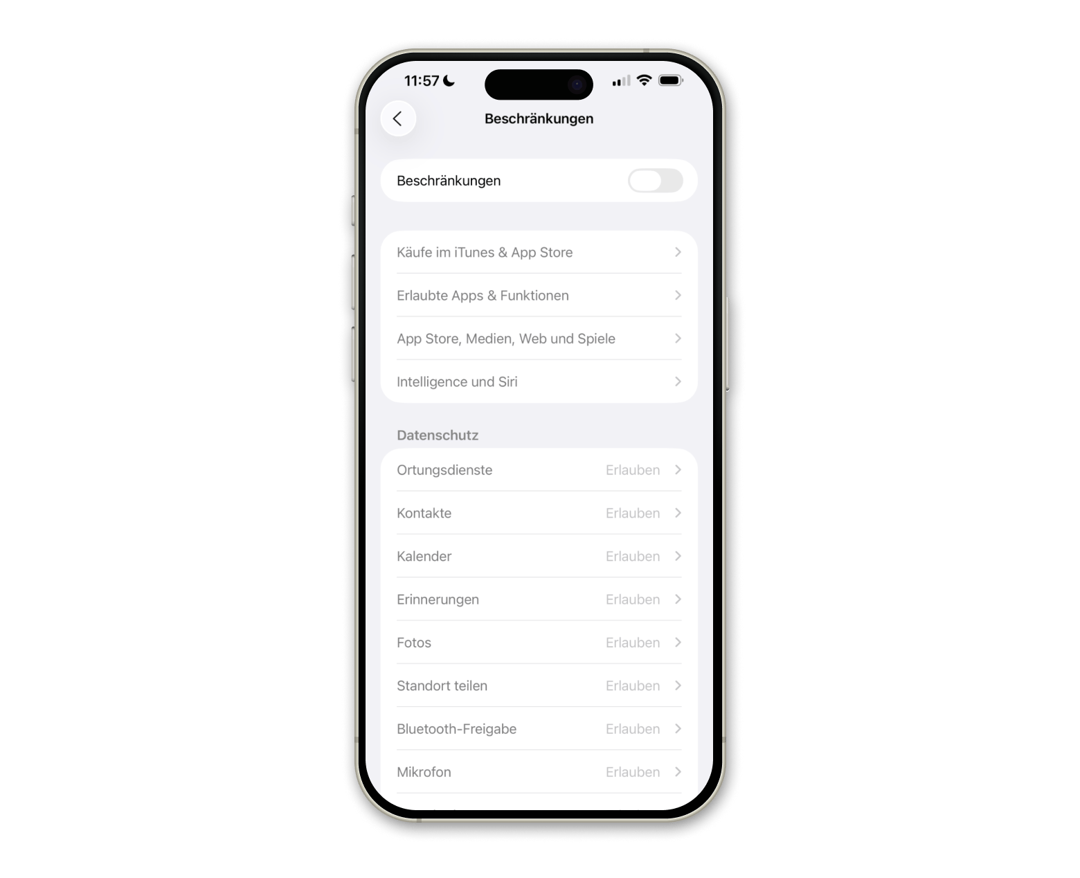iPhone einstellungen bildschirmzeit beschraenkungen