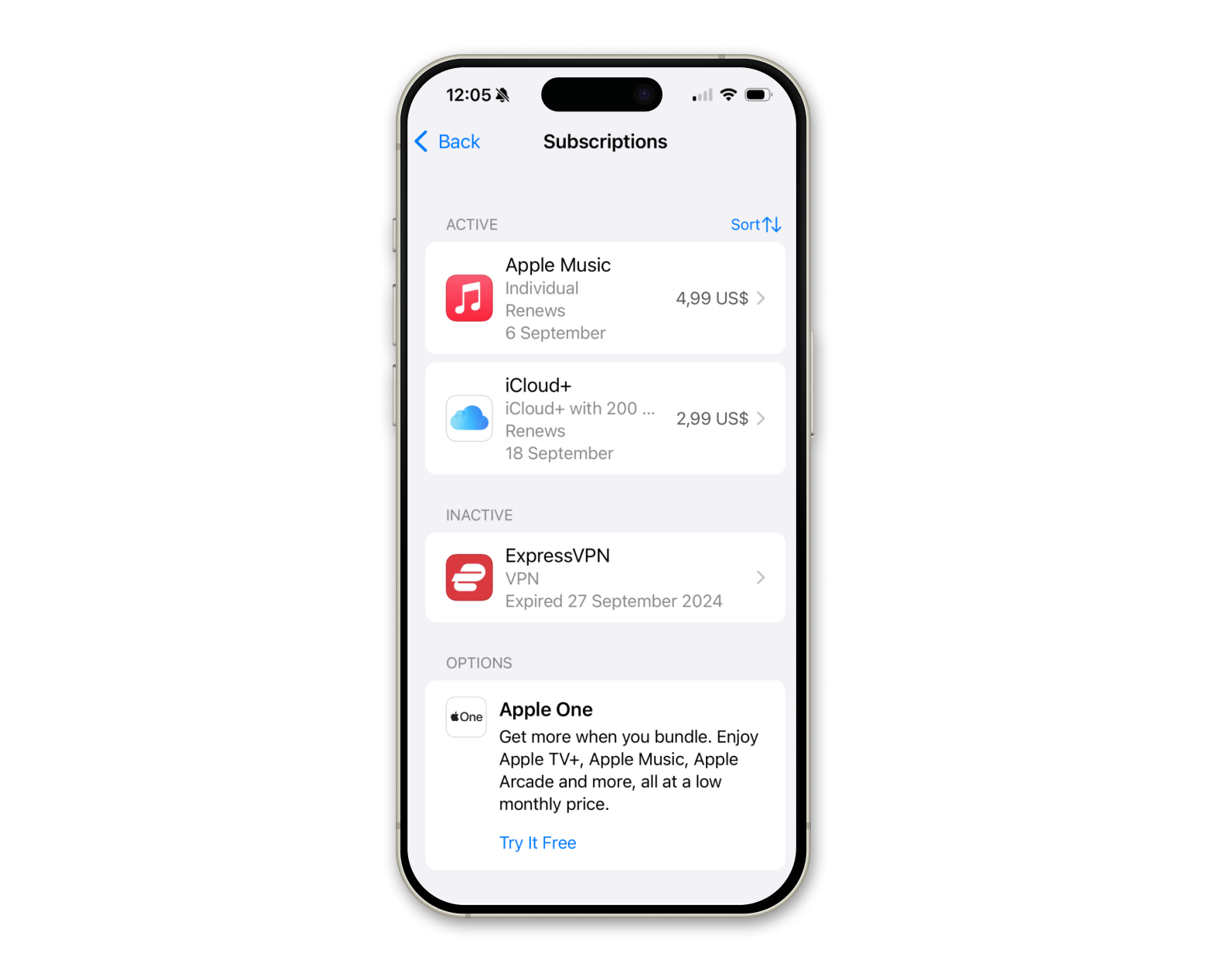 overview of monthly subscriptions on iphone