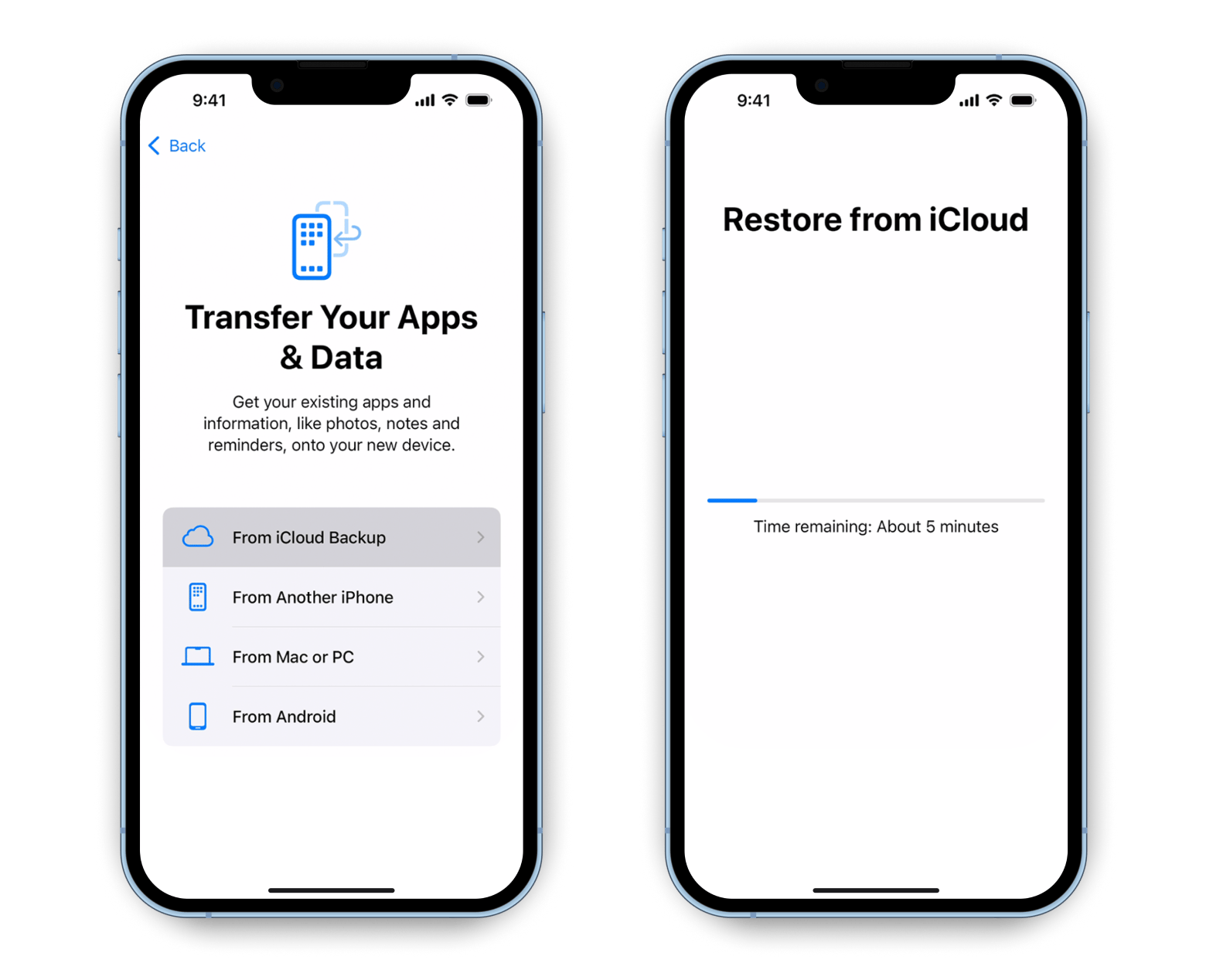 Restore from iCloud backup