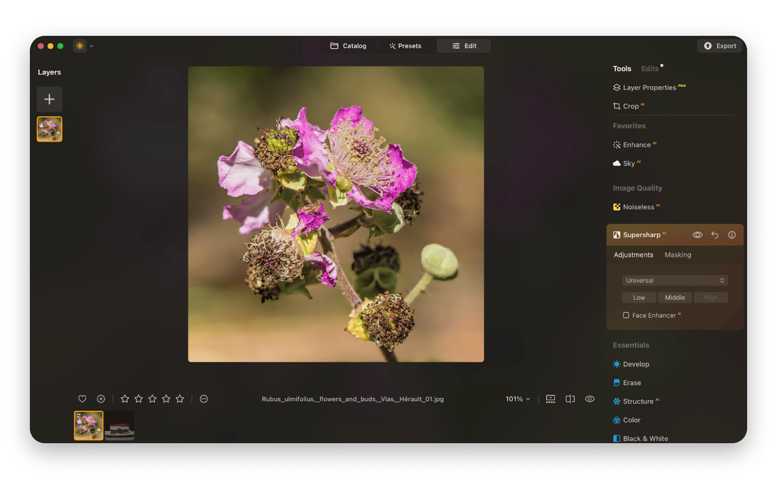 The supersharp tool overview in Luminar Neo, a photo editing app that is available on Setapp.