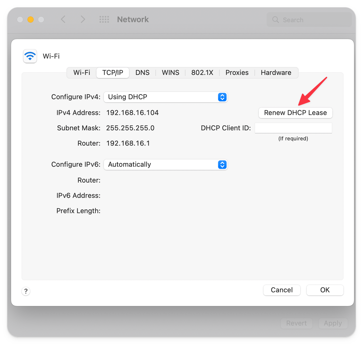 Renew DHCP Lease