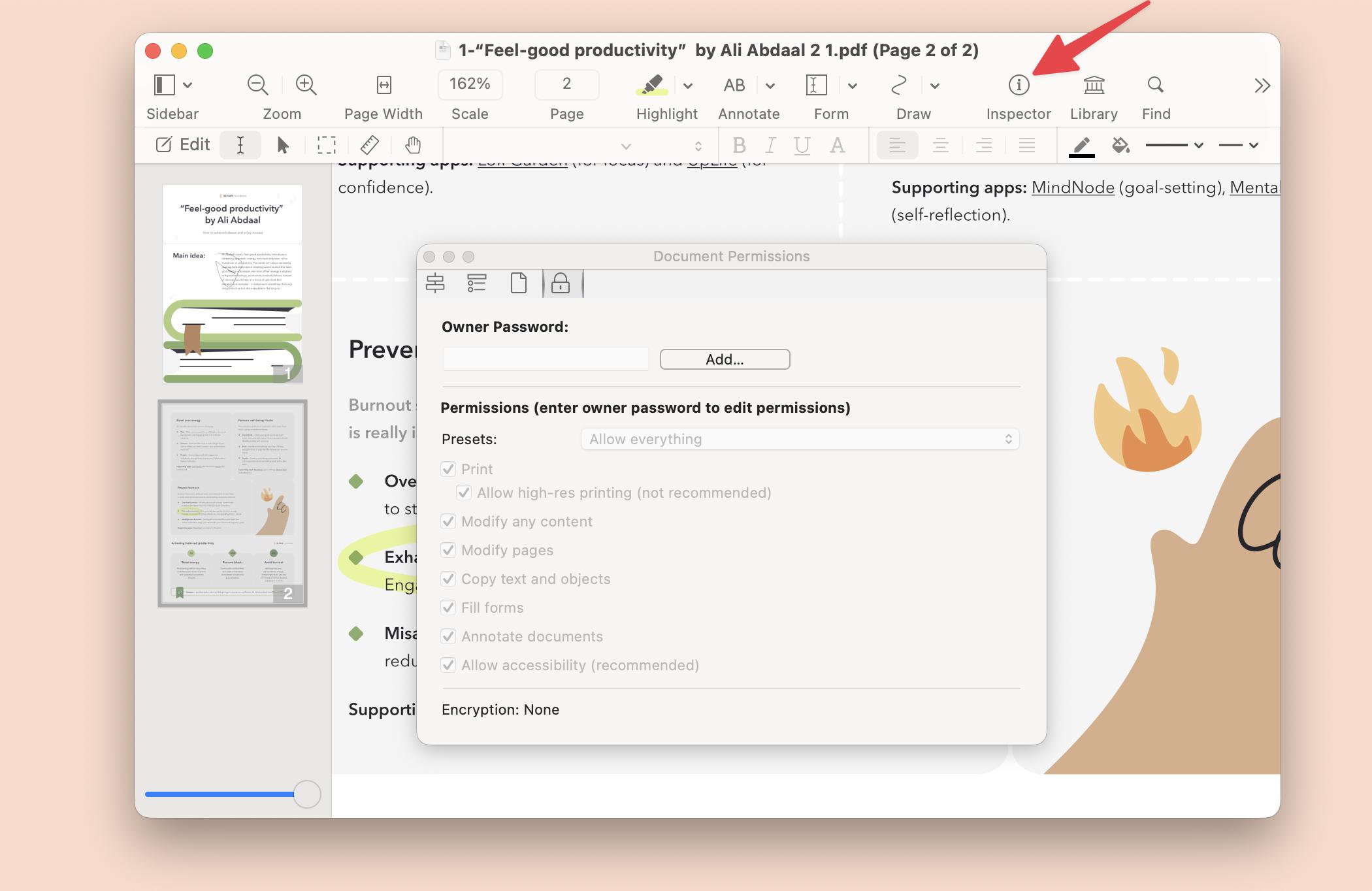Document Permissions panel in Nitro PDF Pro, a PDF editing app that is available on Setapp