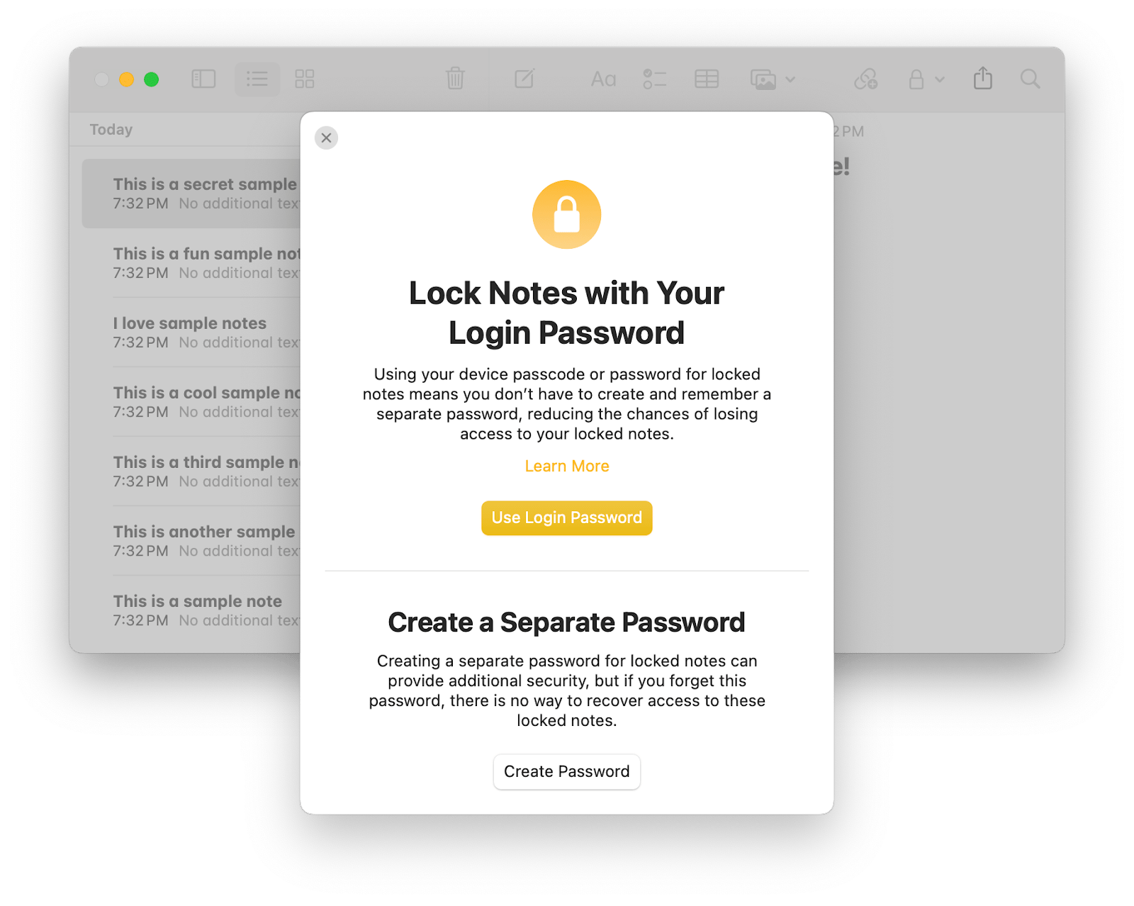 password protection in notes