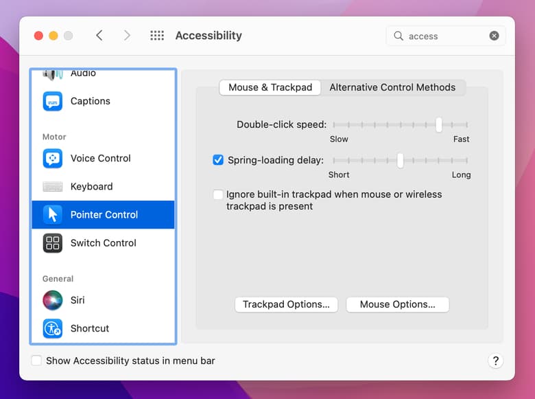 Pointer control settings