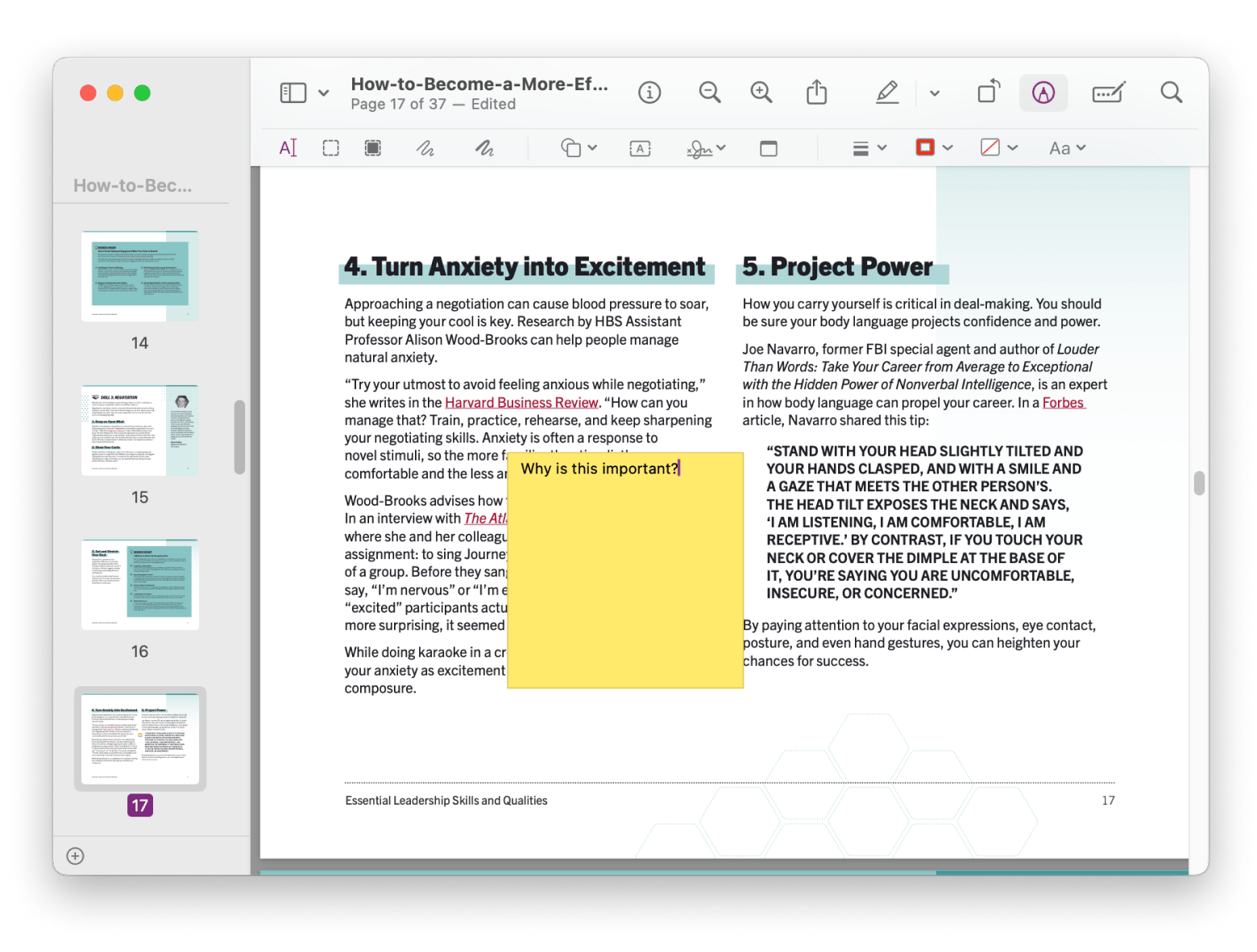 Preview annotate notes