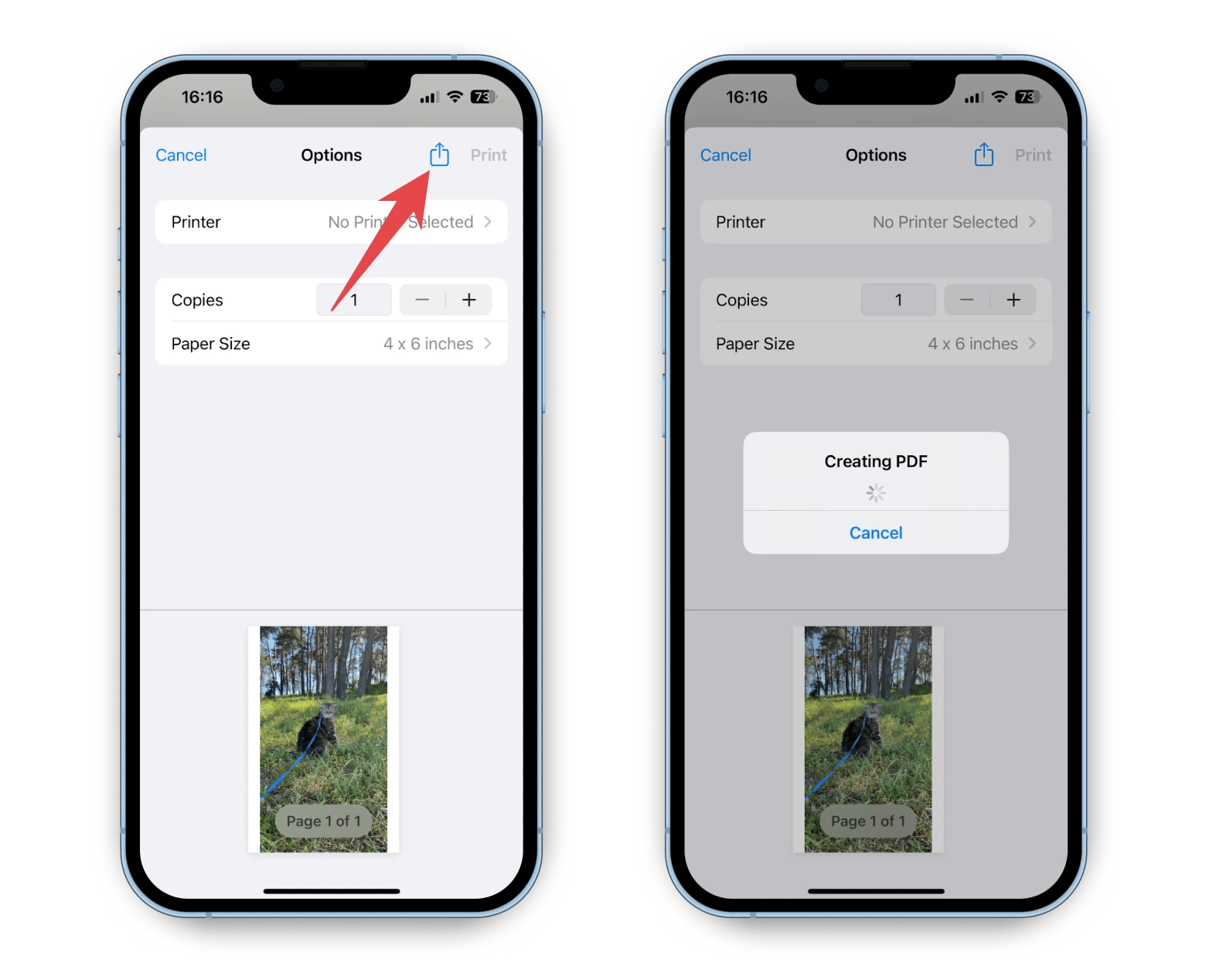 create PDF from screenshot on iPhone