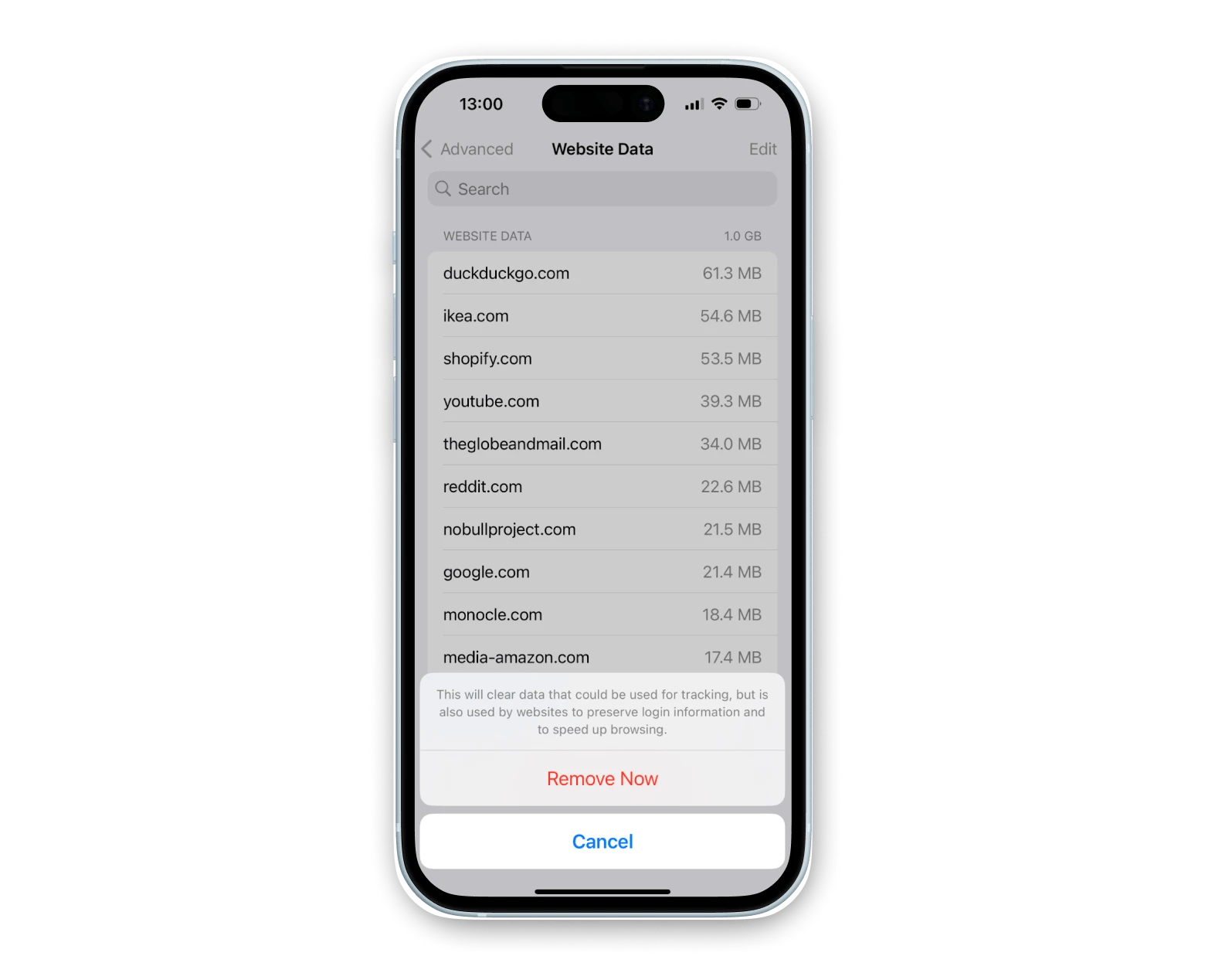 remove all website data on iPhone