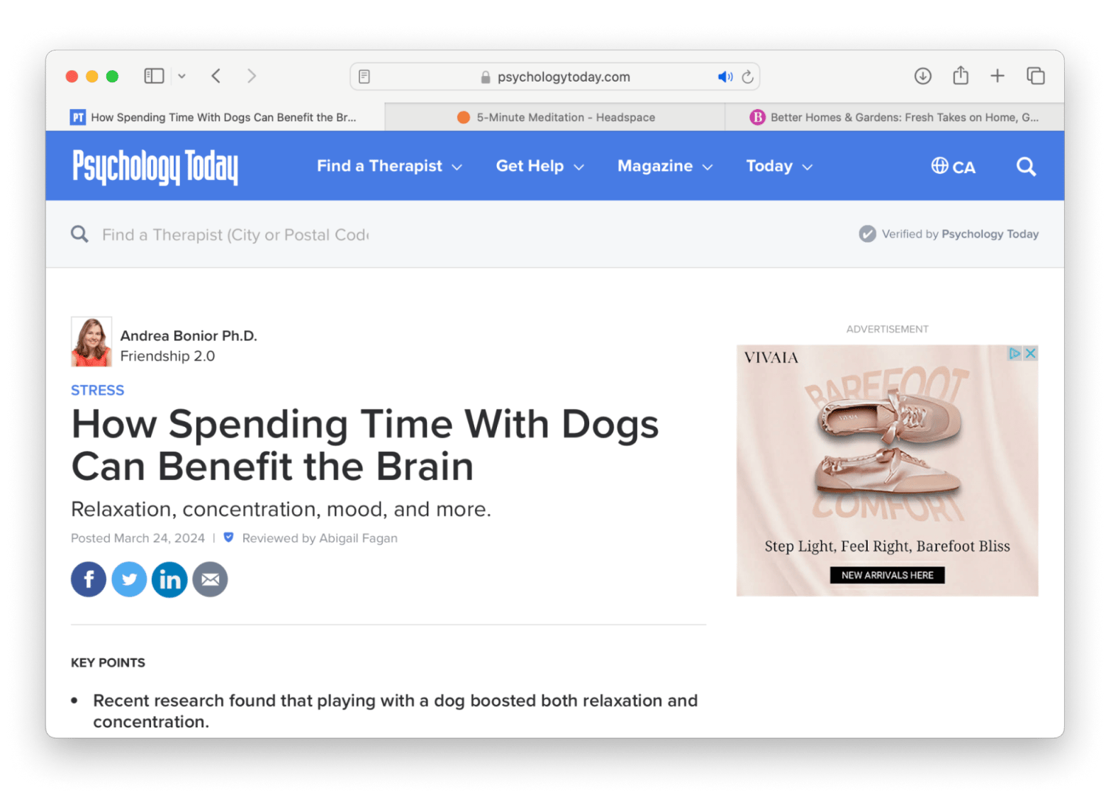 safari interface