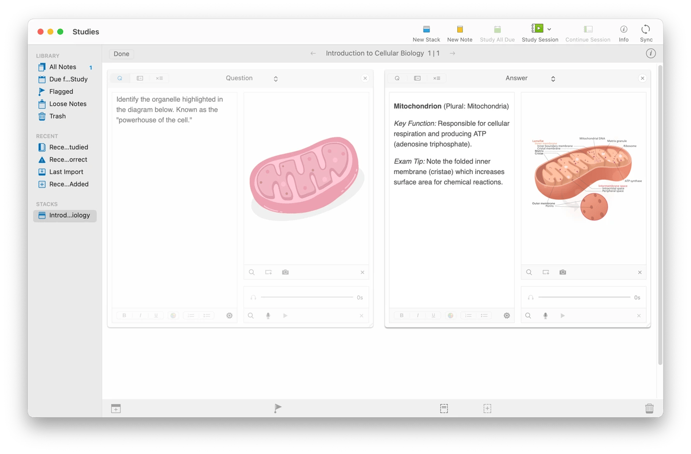 Creating a revision flashcard on Studies, a study app available on Setapp