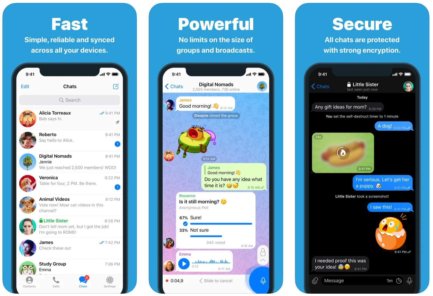 Telegram encrypted chat