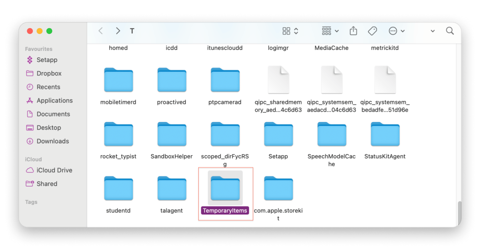 Temporary Items window Temporary Items window