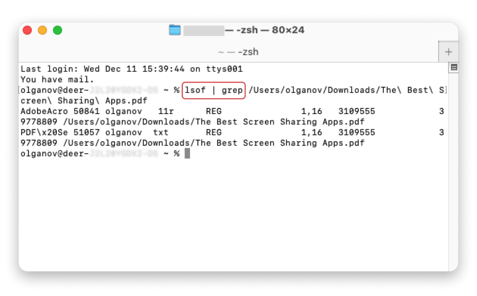 Displaying files in use in the Terminal window