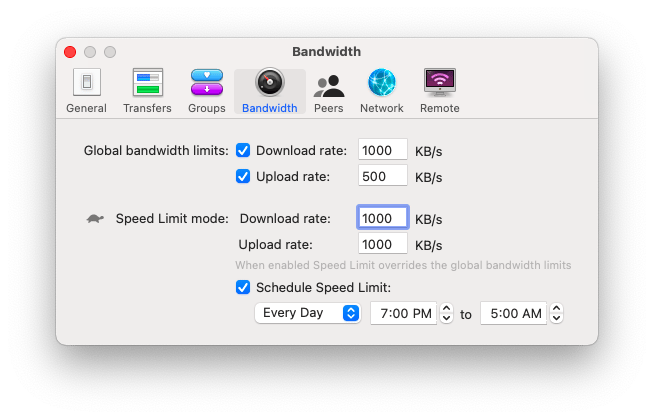 check torrent preferences